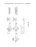 ACTIVATABLE BINDING POLYPEPTIDES AND METHODS OF IDENTIFICATION AND USE THEREOF diagram and image