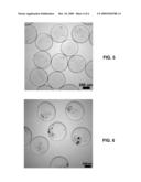 ENCAPSULATED MATERIALS AND METHODS FOR ENCAPSULATING MATERIALS diagram and image