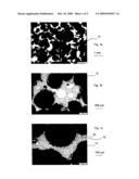 IMPREGNATED CERAMIC FOAM MADE OF RECRYSTALLIZED SILICON CARBIDE diagram and image