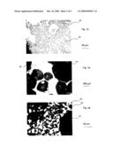 IMPREGNATED CERAMIC FOAM MADE OF RECRYSTALLIZED SILICON CARBIDE diagram and image