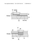 EXPERIMENTAL METHOD FOR SCIENTIFIC PHENOMENON EVALUATING APPARATUS, AND SCIENTIFIC PHENOMENON EVALUATING APPARATUS diagram and image