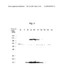  Substrate Protein for M-Phase Kinase and use Thereof diagram and image
