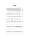  Substrate Protein for M-Phase Kinase and use Thereof diagram and image