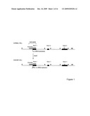 DNA methylation biomarkers for lung cancer diagram and image
