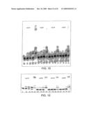 DNA POLYMERASE diagram and image