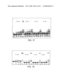 DNA POLYMERASE diagram and image