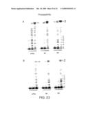 DNA POLYMERASE diagram and image