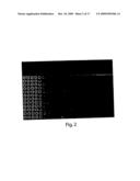 Lectin Complement Pathway Assays and Related Compositions and Methods diagram and image