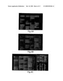 Lectin Complement Pathway Assays and Related Compositions and Methods diagram and image