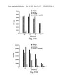 Lectin Complement Pathway Assays and Related Compositions and Methods diagram and image