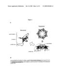 Modified chaperonin 10 diagram and image