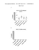 Modified chaperonin 10 diagram and image