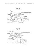 Polypeptide Molecular Switch diagram and image