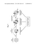 Polypeptide Molecular Switch diagram and image