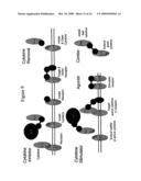 IL-6 binding proteins diagram and image