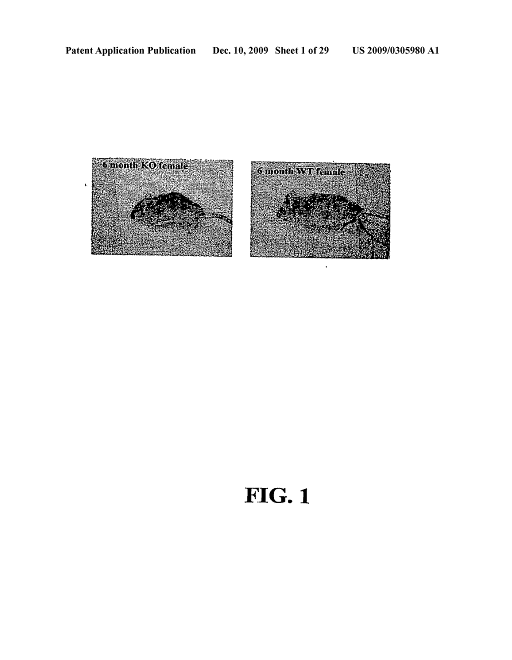Methods and Compositions Related to TR4 - diagram, schematic, and image 02