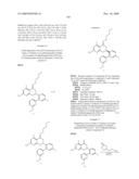 HSP90 INHIBITORS diagram and image