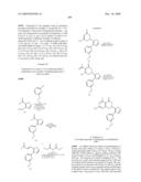 HSP90 INHIBITORS diagram and image