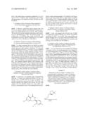 HSP90 INHIBITORS diagram and image