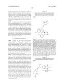 HSP90 INHIBITORS diagram and image