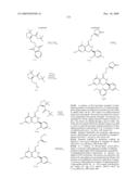 HSP90 INHIBITORS diagram and image