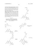 HSP90 INHIBITORS diagram and image