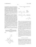 HSP90 INHIBITORS diagram and image