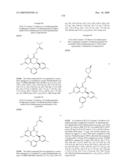 HSP90 INHIBITORS diagram and image