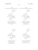 HSP90 INHIBITORS diagram and image