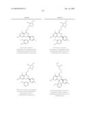 HSP90 INHIBITORS diagram and image