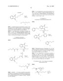 HSP90 INHIBITORS diagram and image