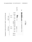 SirT Inhibitors That Bind to NAD diagram and image