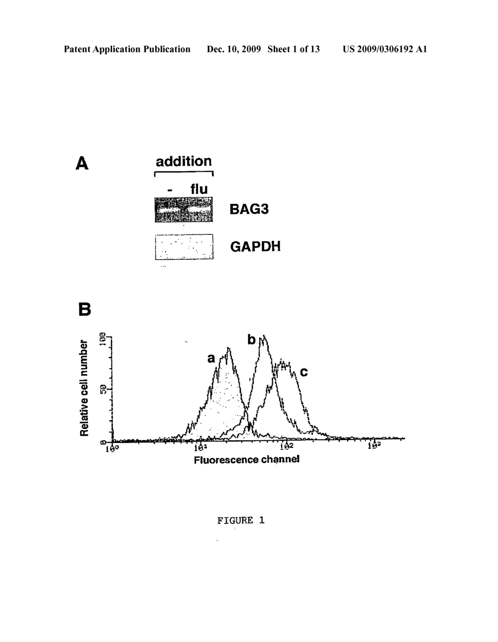 BAG3 nucleotide and protein sequences to be used in research, diagnostics and therapy for cell death-involving diseases, and for modulation of cell survival and/or death - diagram, schematic, and image 02