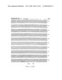 Fusion Proteins of Mycobacterium Tuberculosis diagram and image