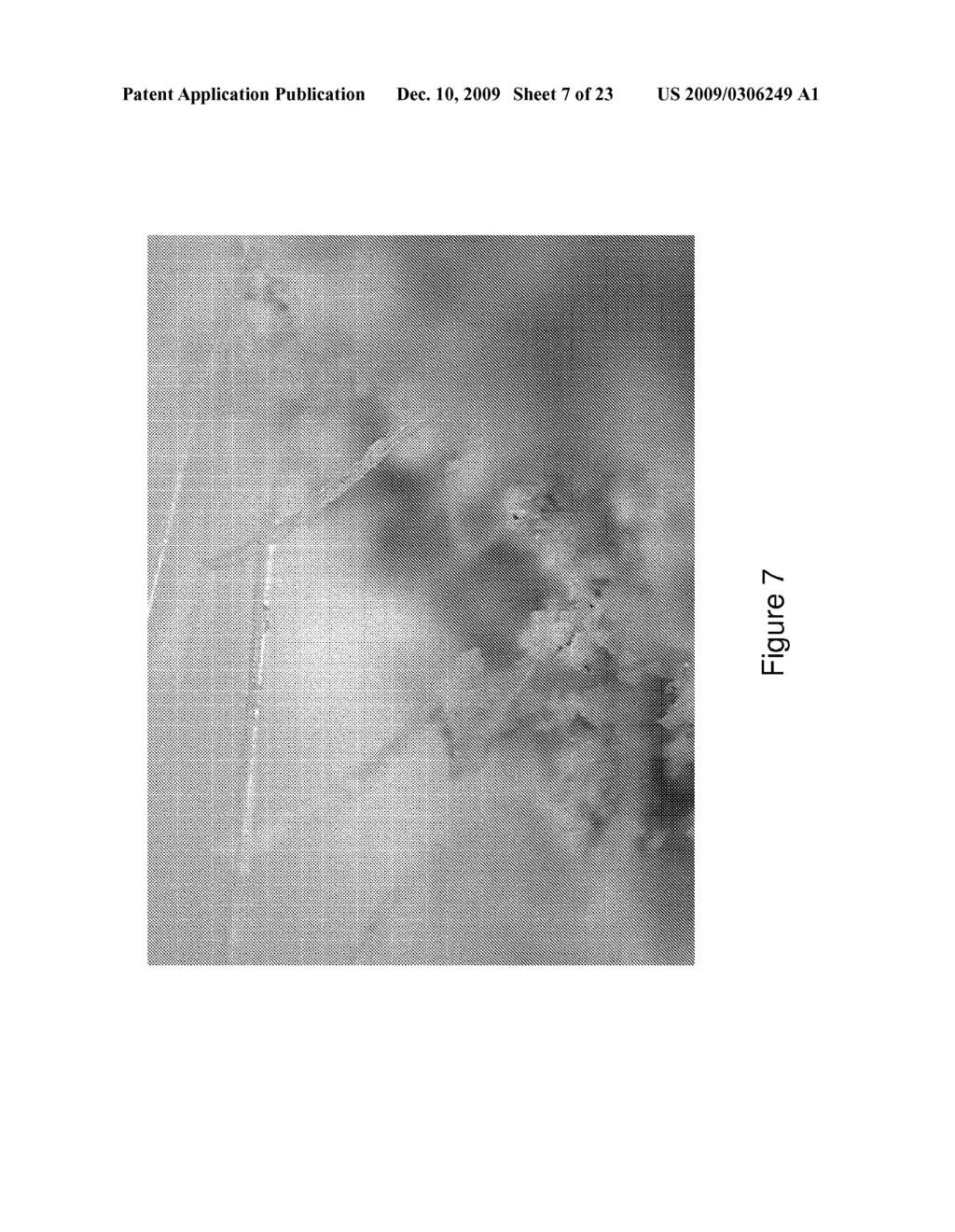 CEMENTITIOUS COMPOSITES - diagram, schematic, and image 08