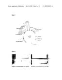 Basic Protein Purification Tags from Thermophilic Bacteria diagram and image