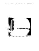 Basic Protein Purification Tags from Thermophilic Bacteria diagram and image