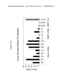 siRNA Targeting TNFalpha diagram and image