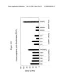 siRNA Targeting TNFalpha diagram and image