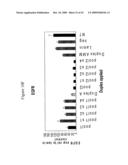 siRNA Targeting TNFalpha diagram and image