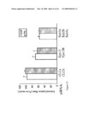 siRNA Targeting TNFalpha diagram and image