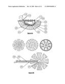 Wound treatment apparatus and method diagram and image