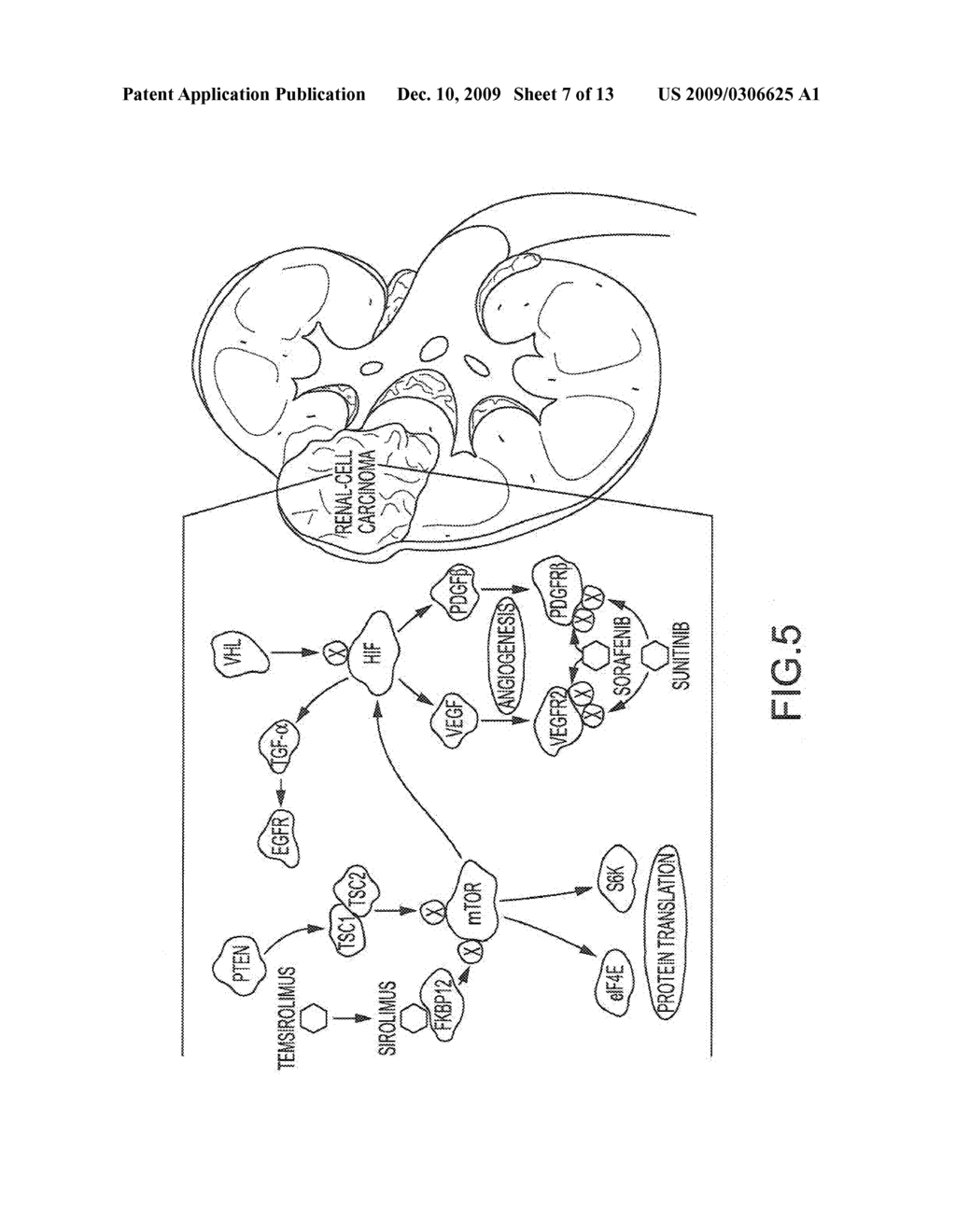 TREATMENT SYSTEMS AND METHODS FOR RENAL-RELATED DISEASES - diagram, schematic, and image 08