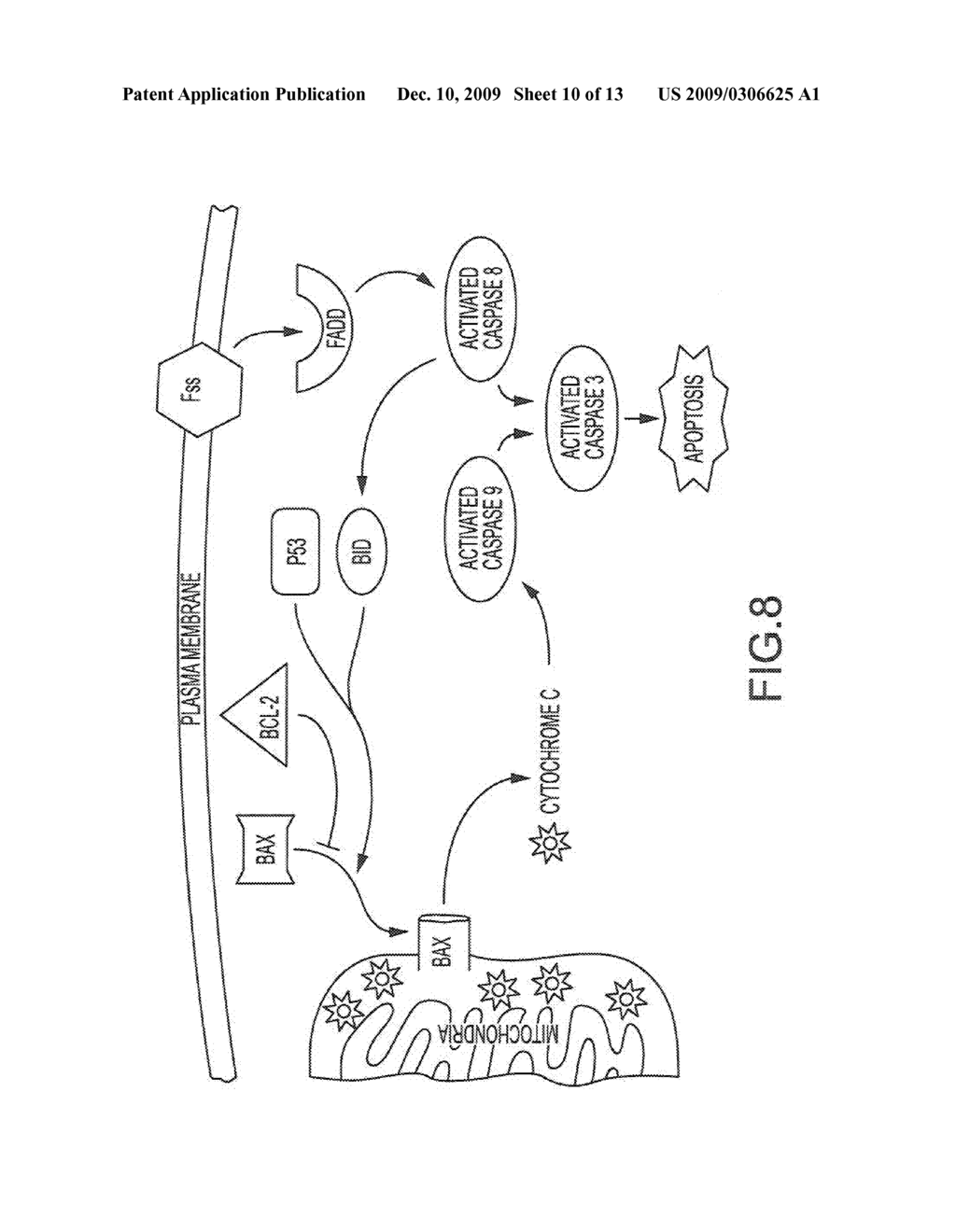 TREATMENT SYSTEMS AND METHODS FOR RENAL-RELATED DISEASES - diagram, schematic, and image 11