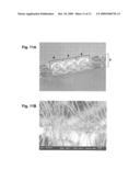 COVERING FOR AN ENDOPROSTHETIC DEVICE AND METHODS OF USING FOR ANEURYSM TREATMENT diagram and image