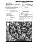 Ocular Scaffolds and Methods for Subretinal Repair of Bruch s Membrane diagram and image