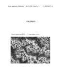 Ocular Scaffolds and Methods for Subretinal Repair of Bruch s Membrane diagram and image