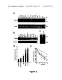 ISOLATION OF THE T-COMPLEX DISTORTERS AND APPLICATIONS THEREOF diagram and image