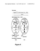 ISOLATION OF THE T-COMPLEX DISTORTERS AND APPLICATIONS THEREOF diagram and image