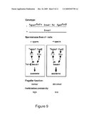 ISOLATION OF THE T-COMPLEX DISTORTERS AND APPLICATIONS THEREOF diagram and image